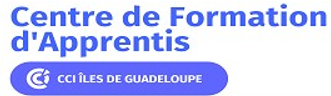 Logo CFA CCI